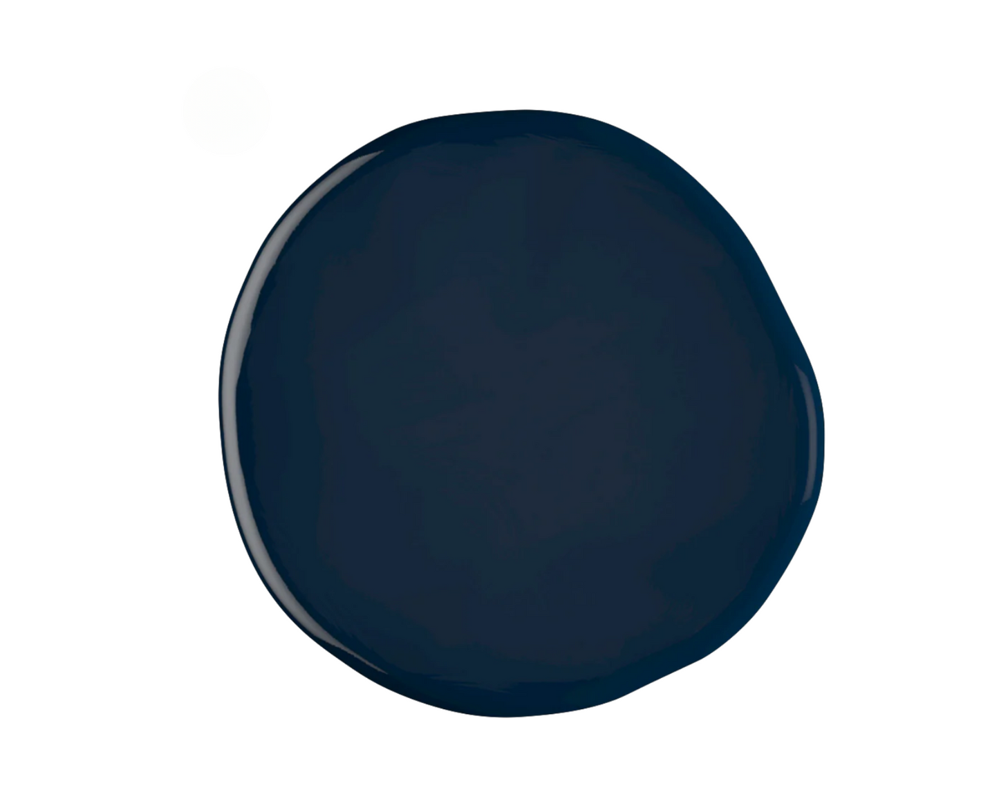 Squid Ink